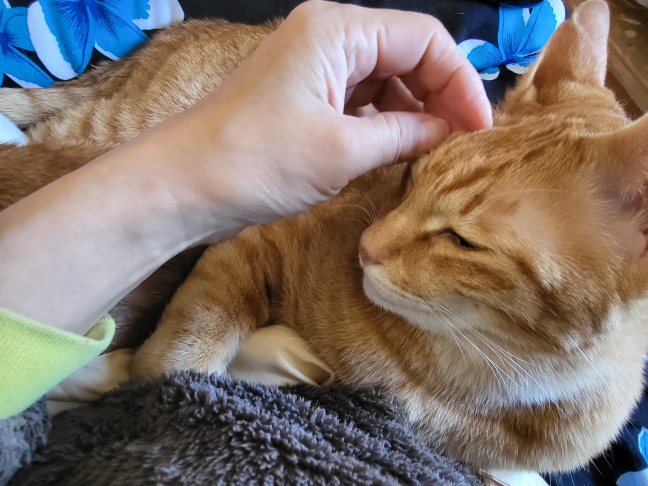 f:id:JuneNNN:20211201114506j:plain