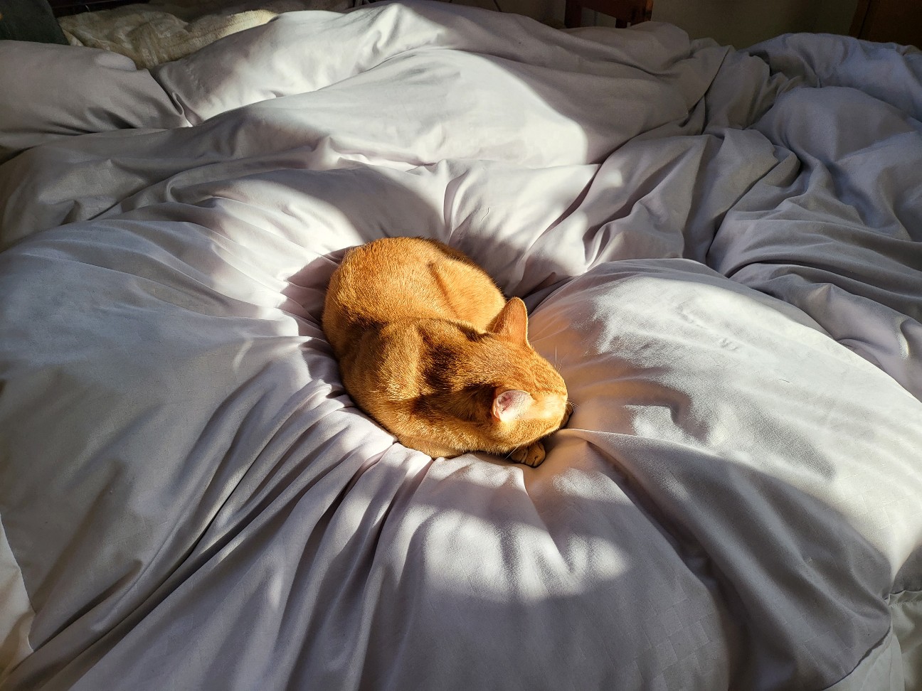 f:id:JuneNNN:20211201114551j:plain