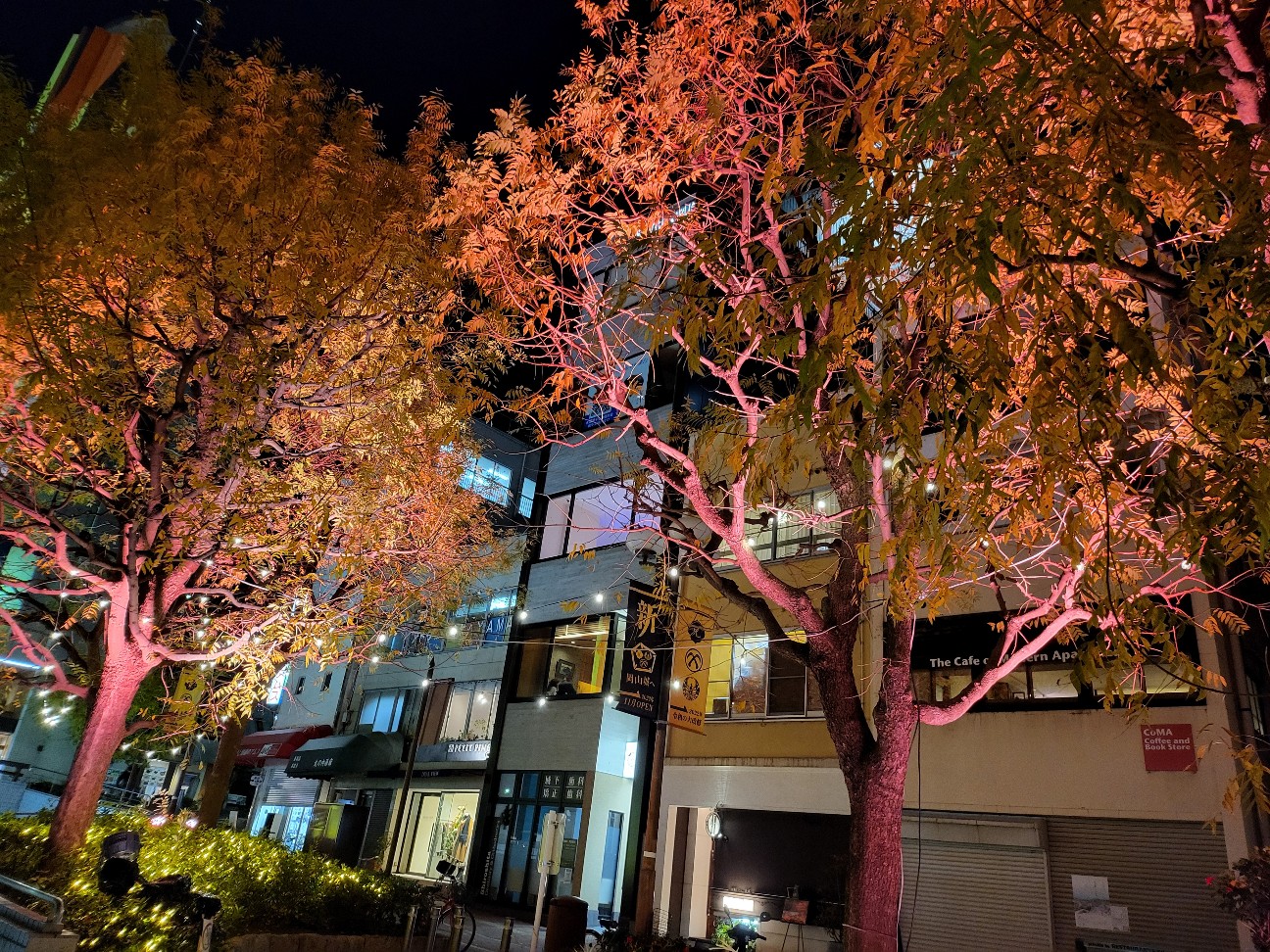 f:id:JuneNNN:20211201114634j:plain