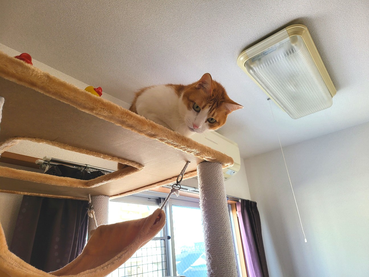 f:id:JuneNNN:20211202110342j:plain