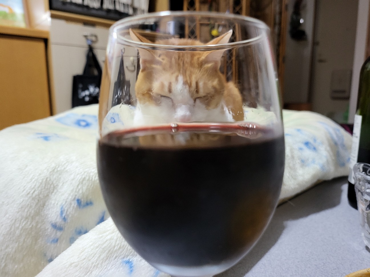 f:id:JuneNNN:20211202110434j:plain