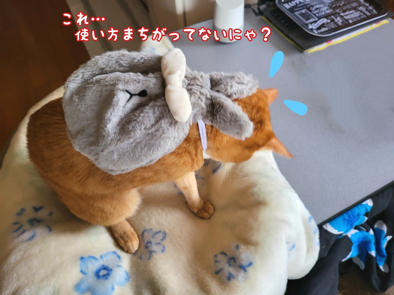 f:id:JuneNNN:20211207150457j:plain