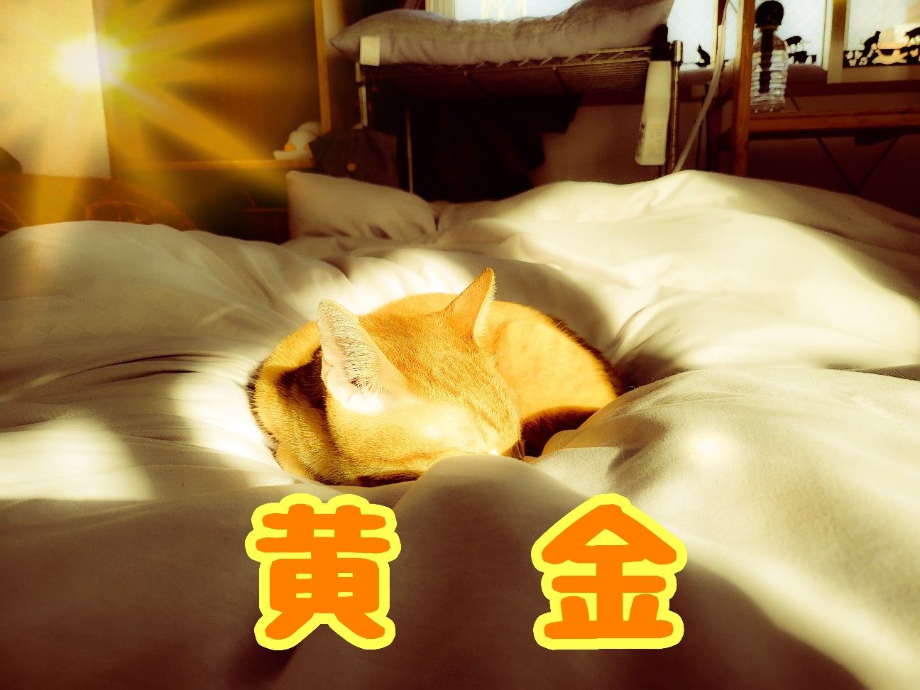 f:id:JuneNNN:20211214112009j:plain