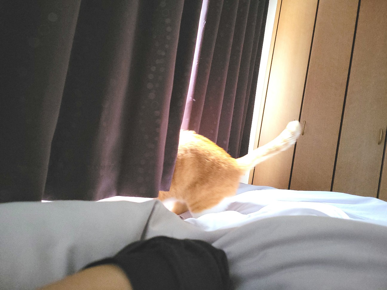 f:id:JuneNNN:20211221105940j:plain