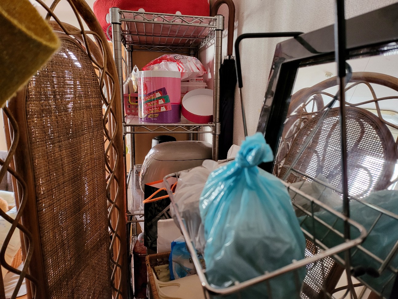 f:id:JuneNNN:20211222140835j:plain