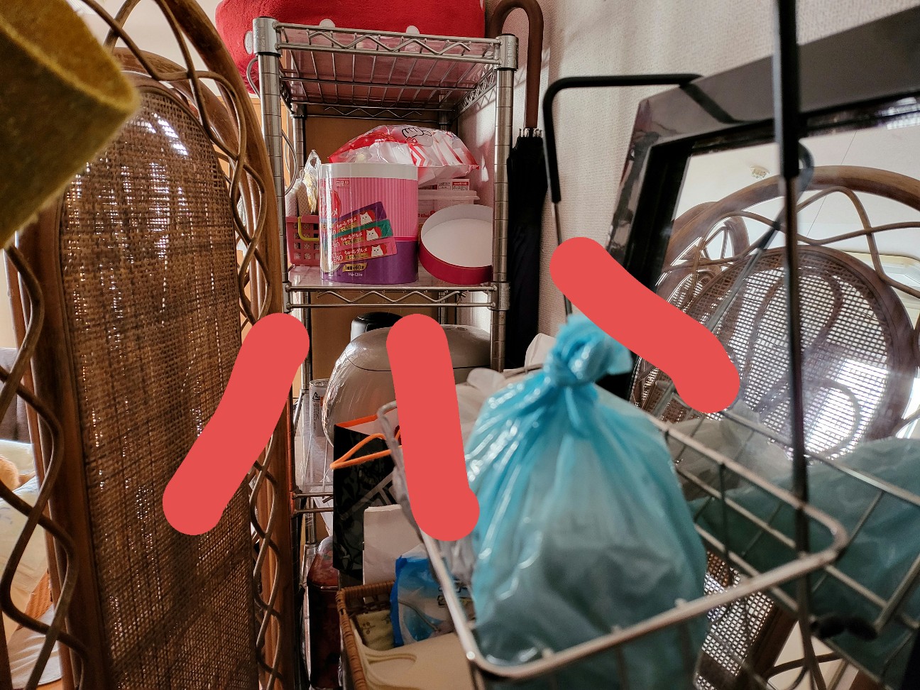 f:id:JuneNNN:20211222141008j:plain