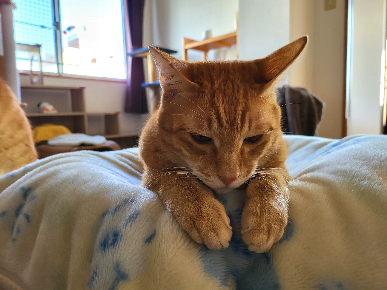 f:id:JuneNNN:20211222141205j:plain