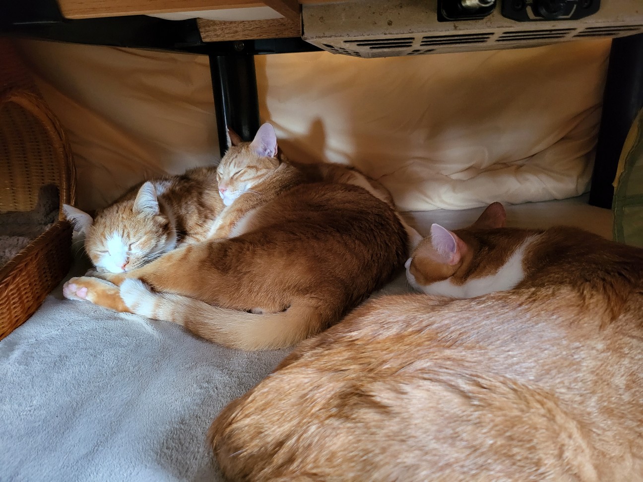 f:id:JuneNNN:20211222141217j:plain