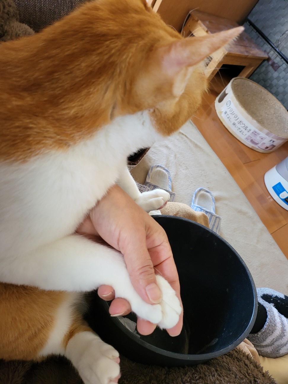 f:id:JuneNNN:20211227120919j:plain