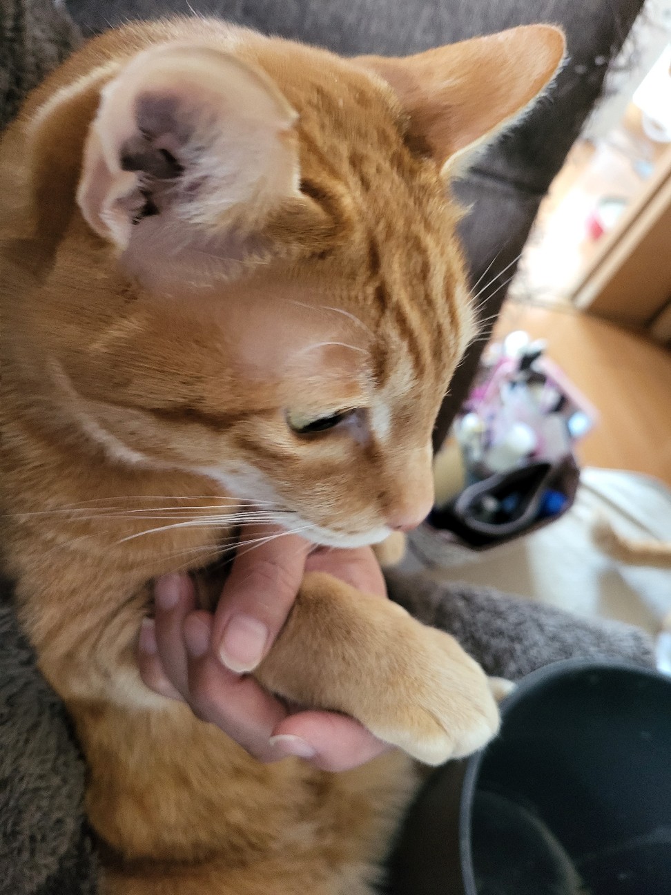 f:id:JuneNNN:20211227120930j:plain