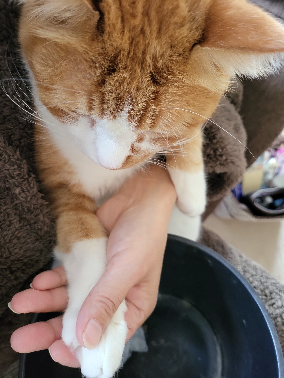 f:id:JuneNNN:20211227120959j:plain