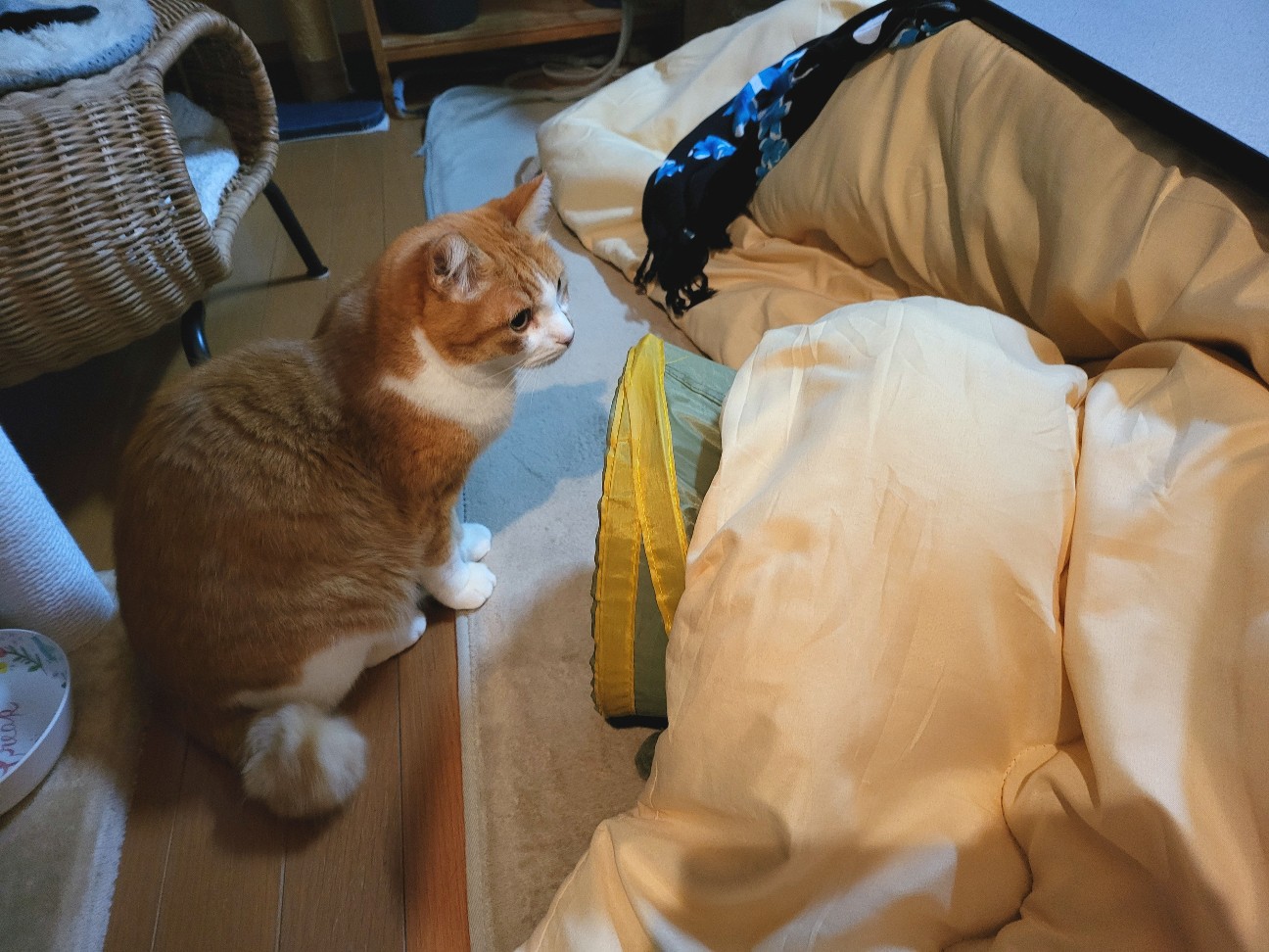 f:id:JuneNNN:20211230115657j:plain