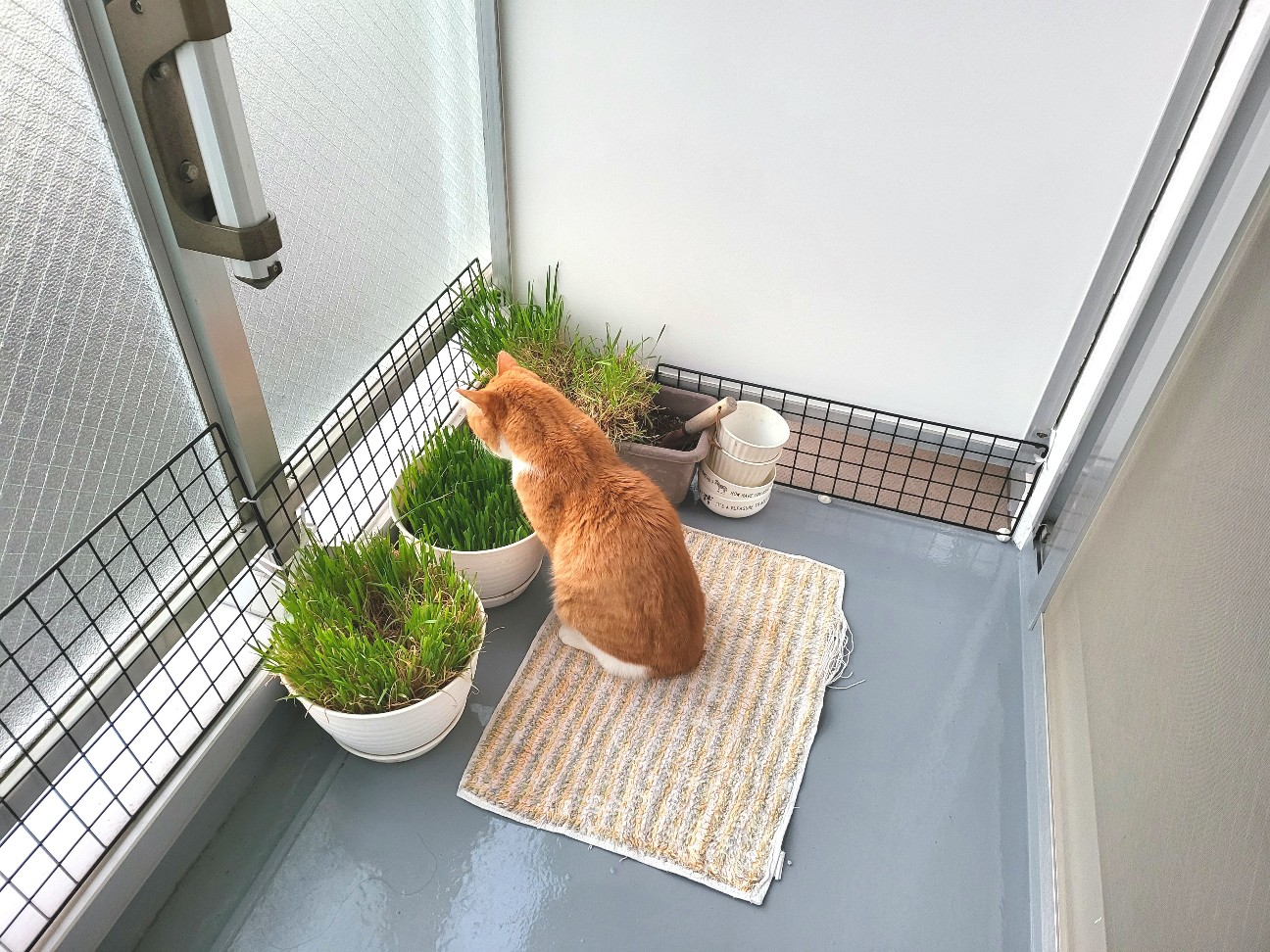 f:id:JuneNNN:20211230115730j:plain