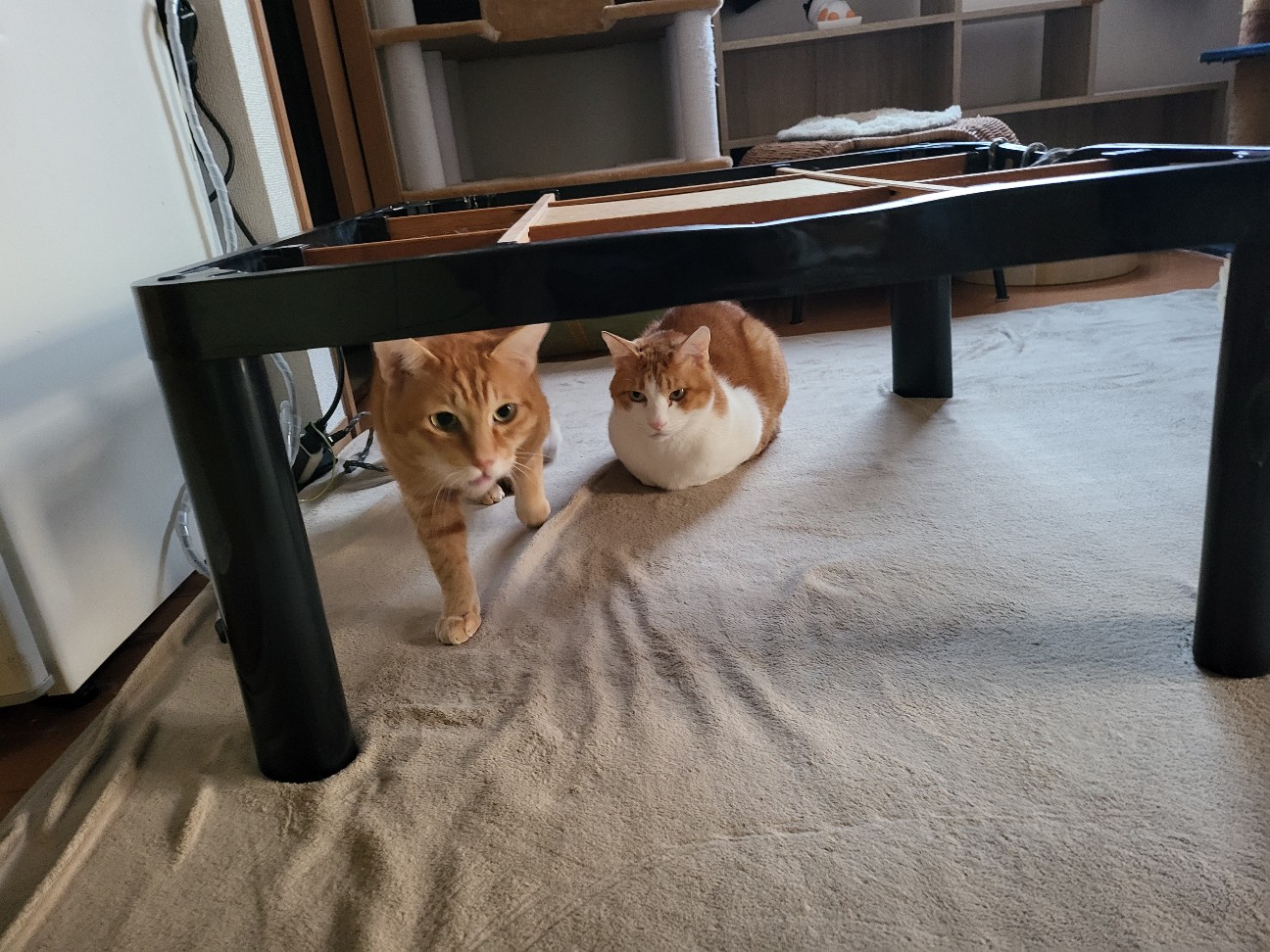 f:id:JuneNNN:20211230115740j:plain