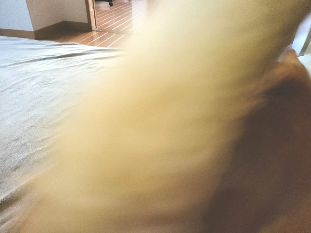 f:id:JuneNNN:20211230115750j:plain