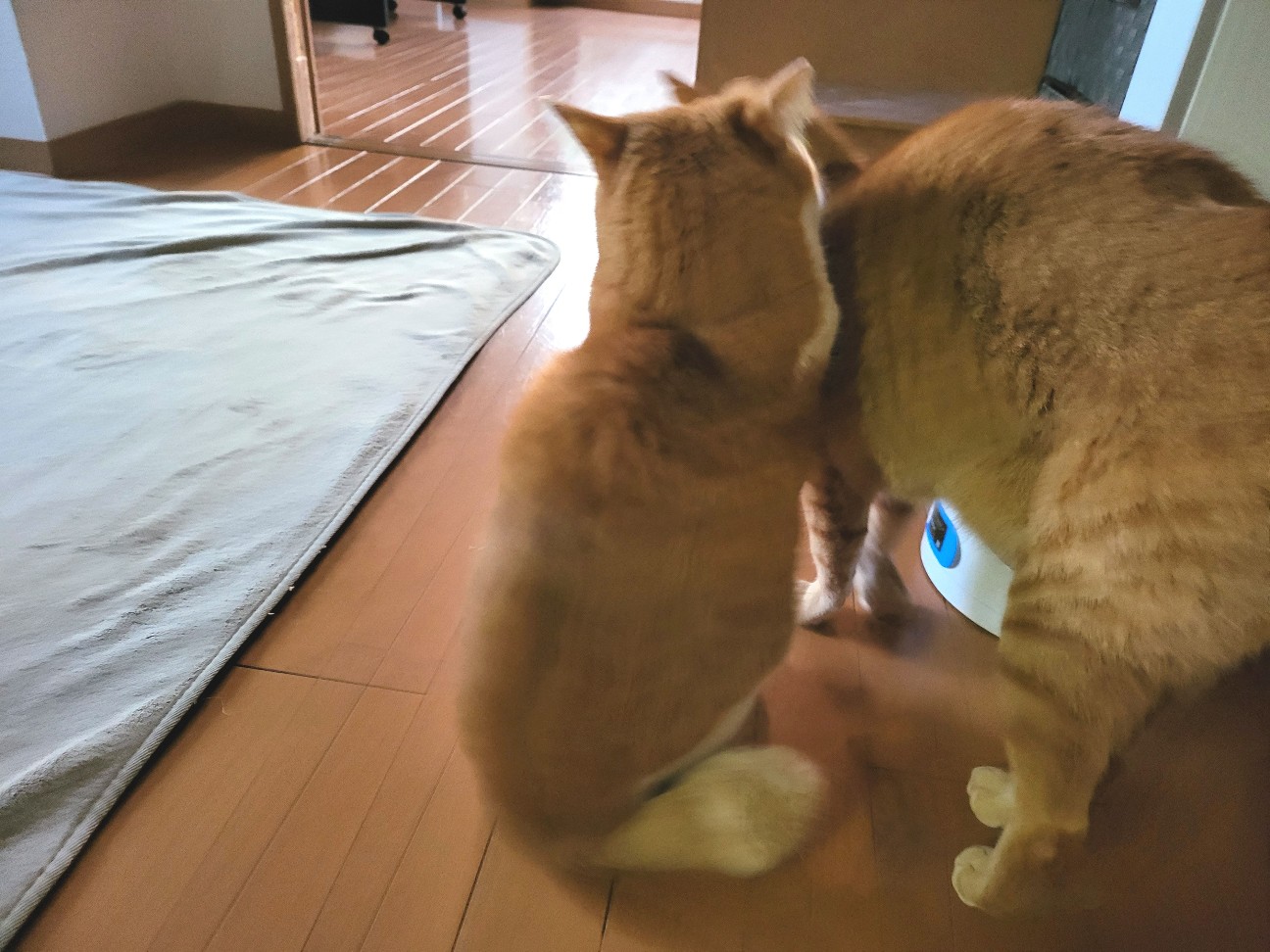 f:id:JuneNNN:20211230115802j:plain