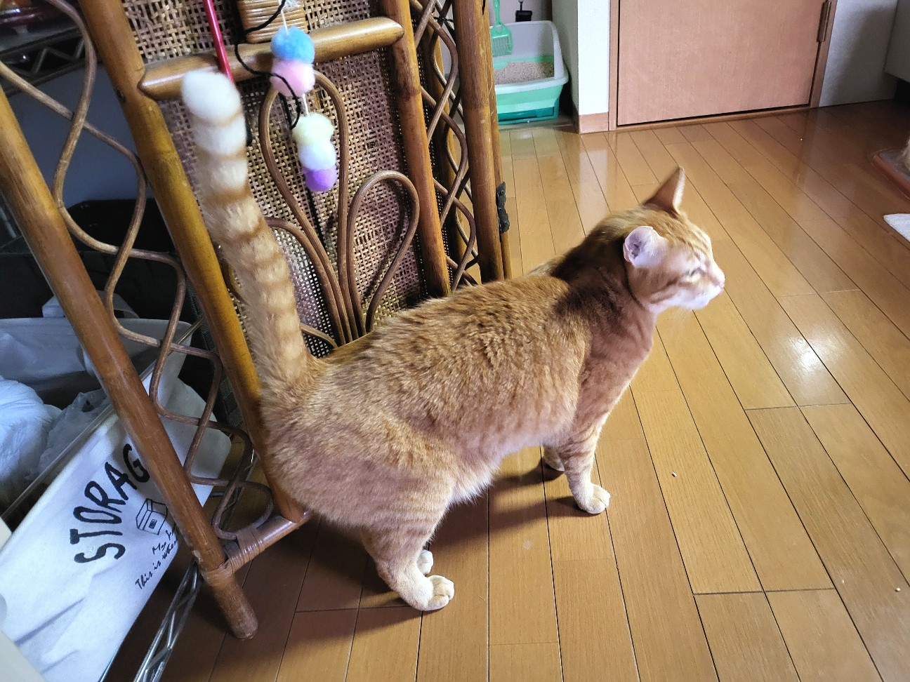 f:id:JuneNNN:20211230115811j:plain