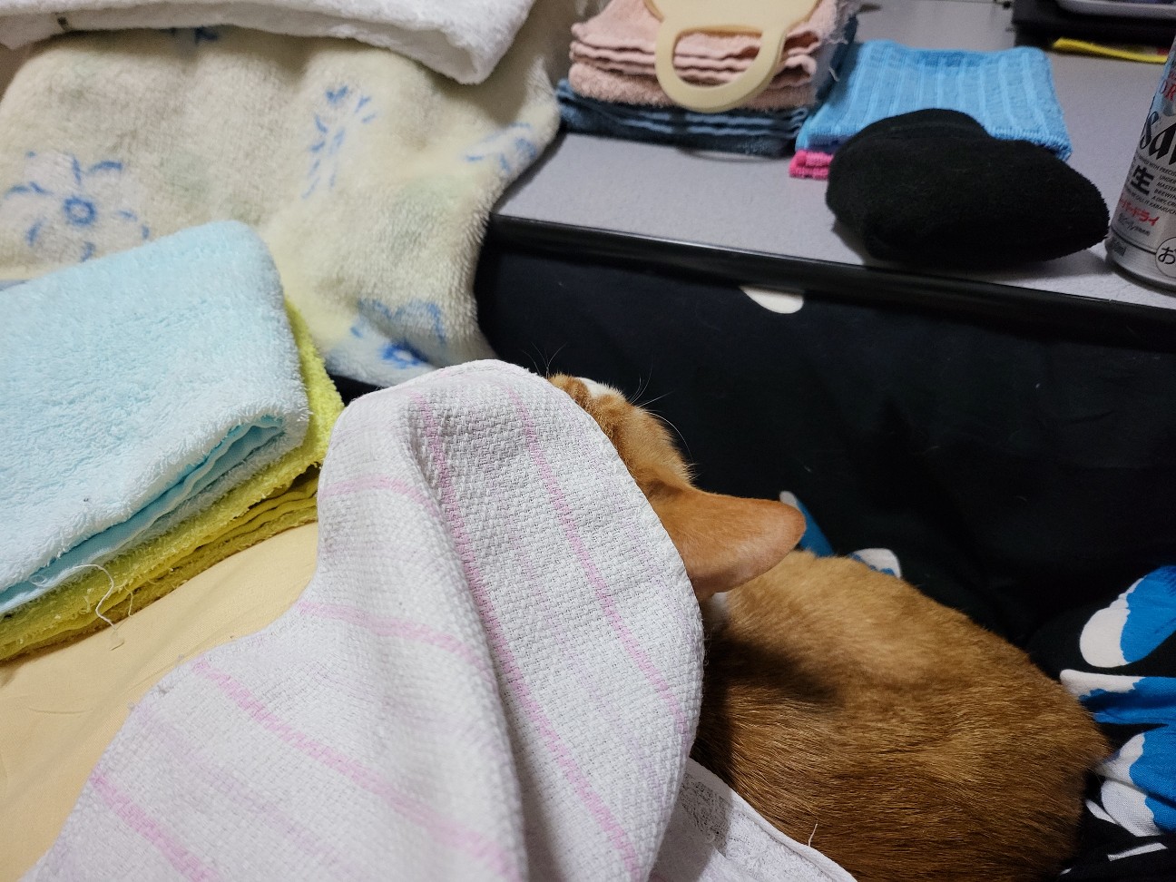 f:id:JuneNNN:20220114122514j:plain