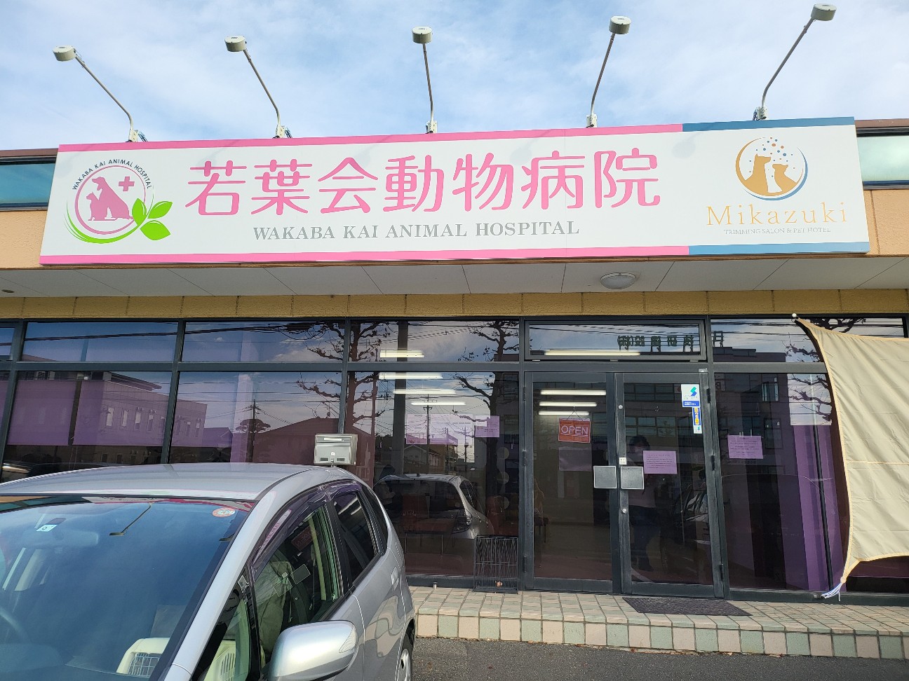 f:id:JuneNNN:20220117095518j:plain