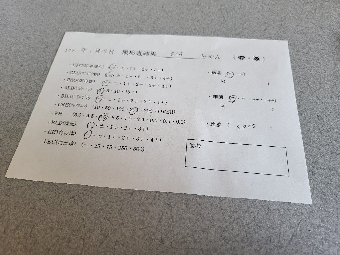 f:id:JuneNNN:20220117114710j:plain