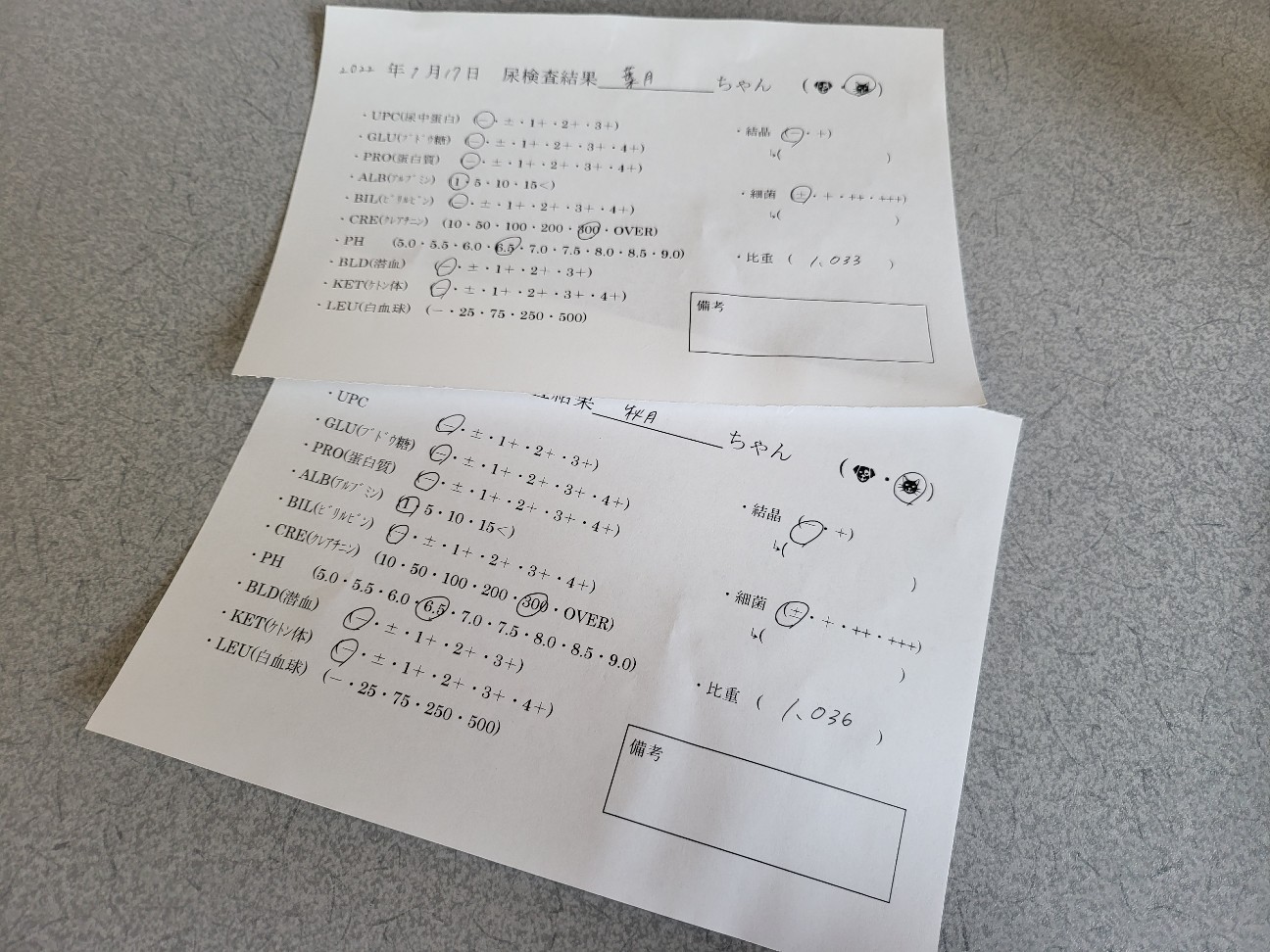 f:id:JuneNNN:20220117114739j:plain