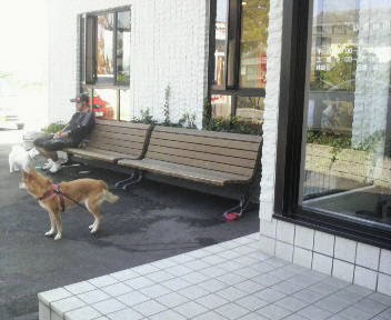 f:id:JuneNNN:20220121122604j:plain