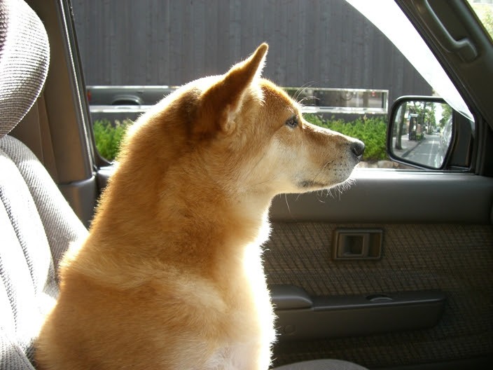 f:id:JuneNNN:20220121122710j:plain