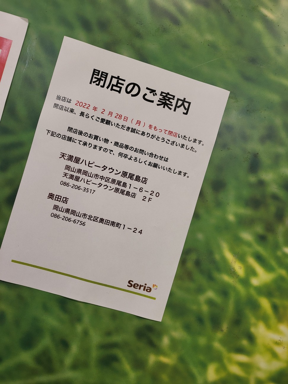 f:id:JuneNNN:20220124155537j:plain