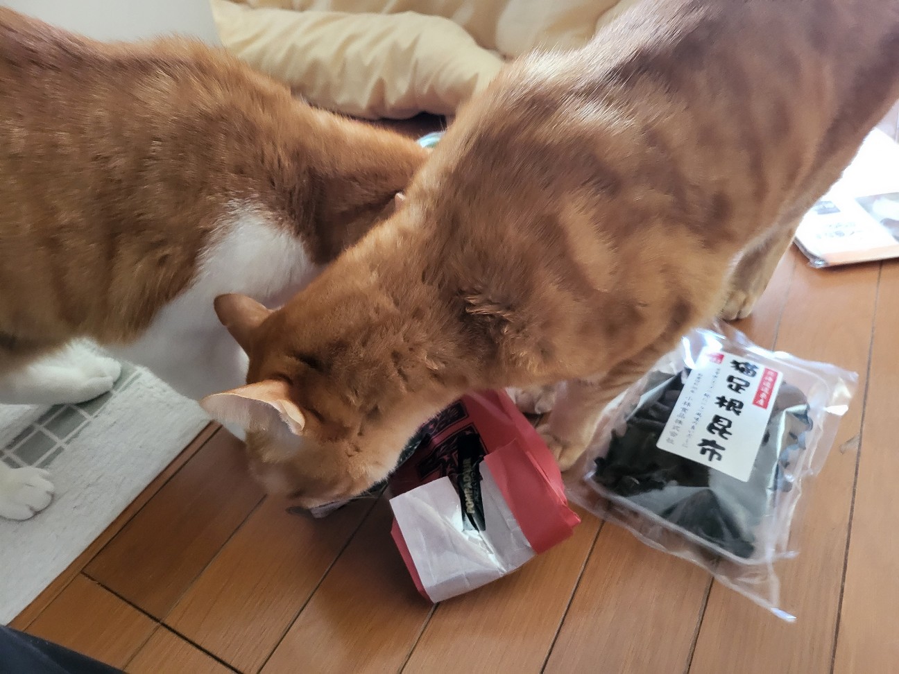 f:id:JuneNNN:20220125141825j:plain