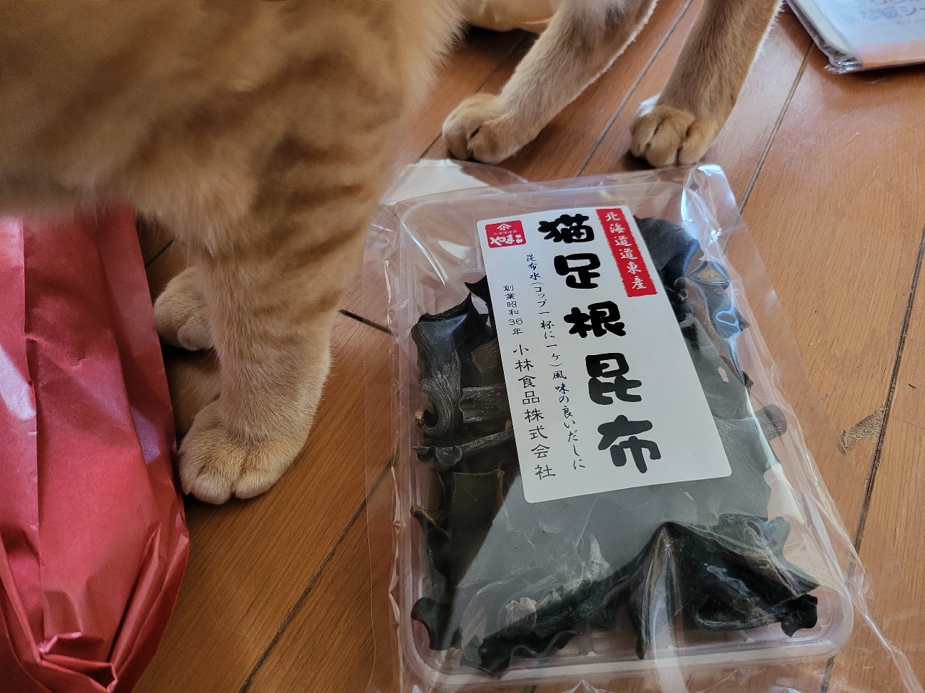 f:id:JuneNNN:20220125141845j:plain