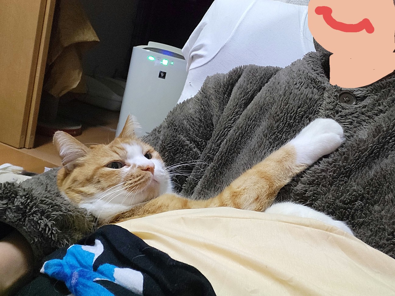 f:id:JuneNNN:20220125142432j:plain