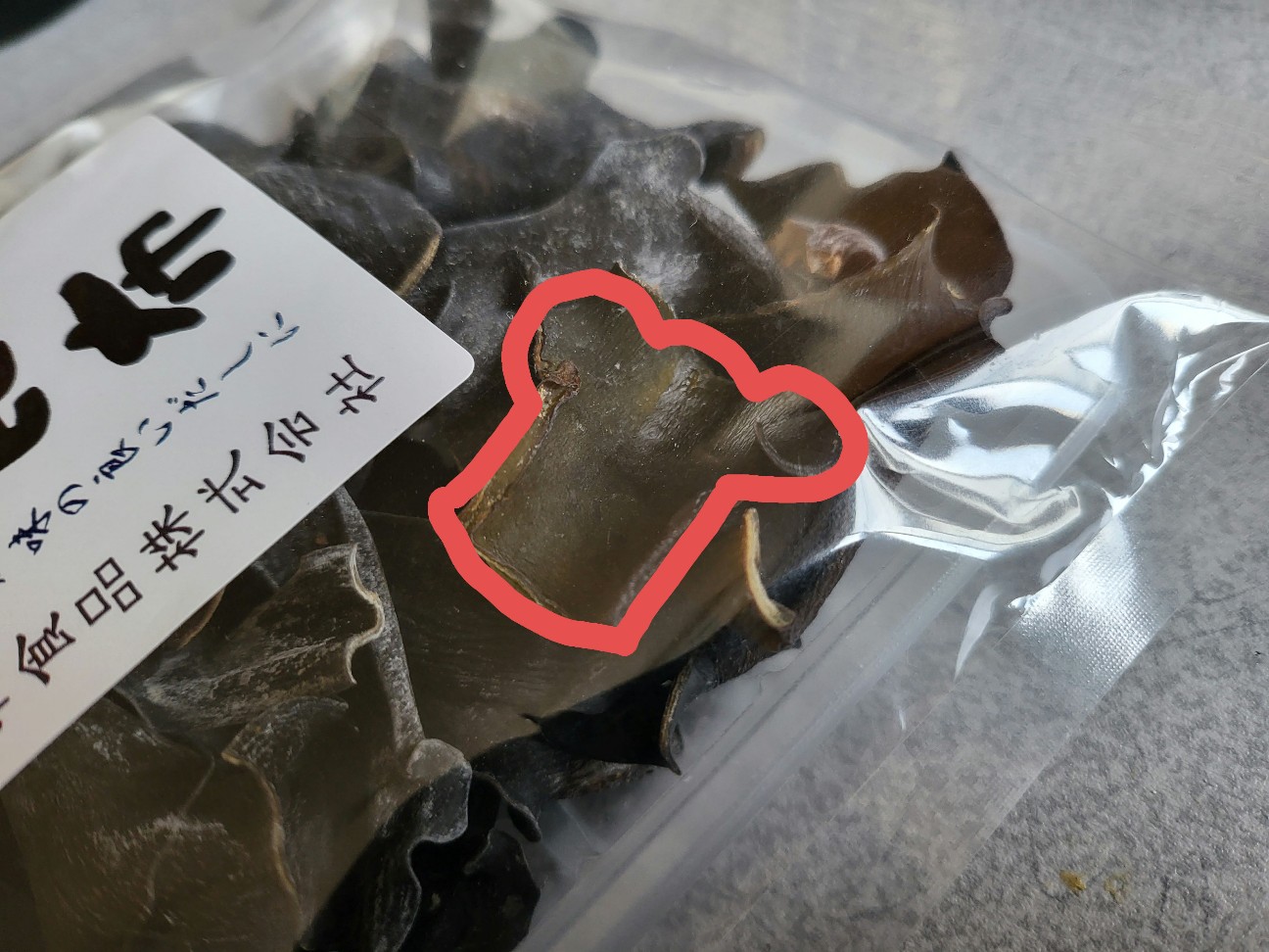 f:id:JuneNNN:20220125142843j:plain