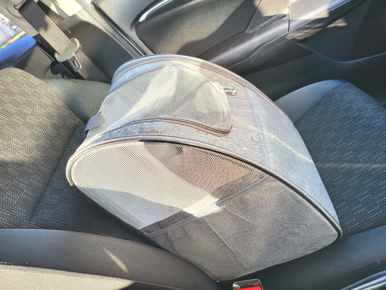 f:id:JuneNNN:20220201114701j:plain