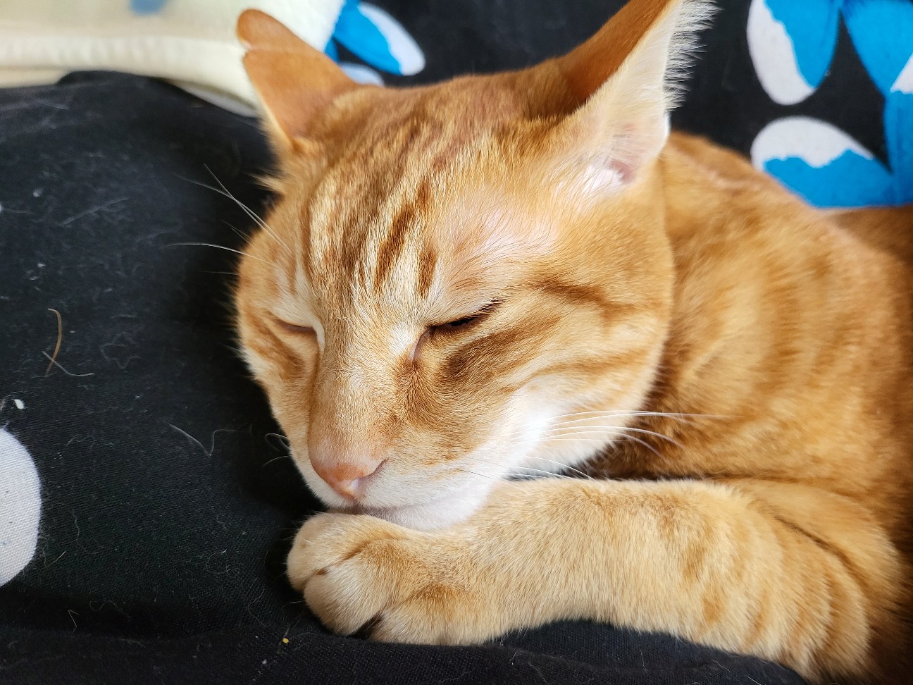 f:id:JuneNNN:20220201114721j:plain