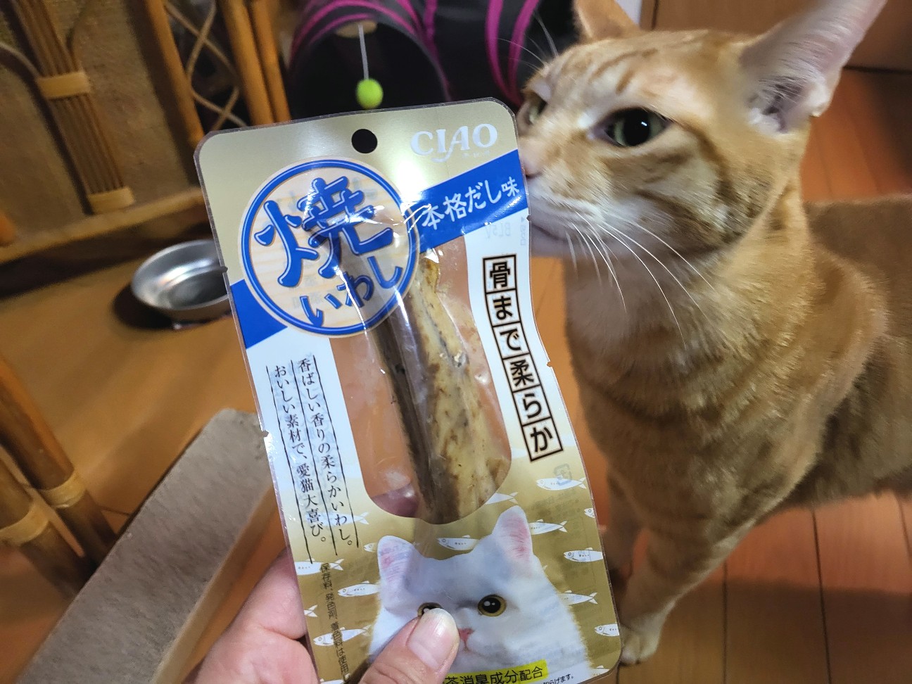 f:id:JuneNNN:20220204115211j:plain