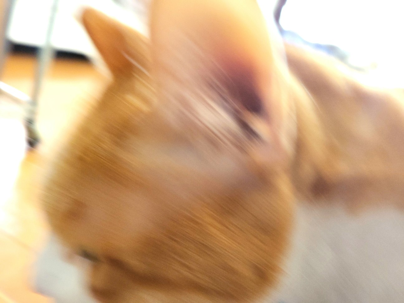 f:id:JuneNNN:20220208120528j:plain