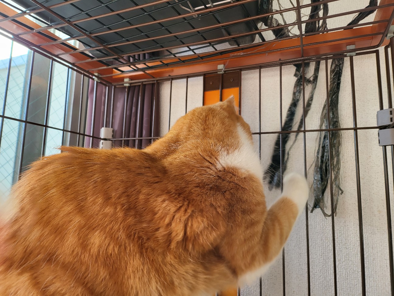 f:id:JuneNNN:20220211143443j:plain