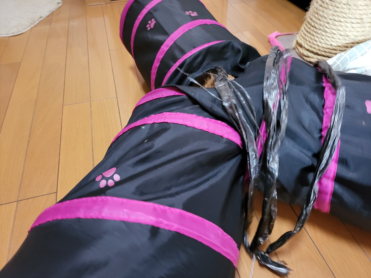 f:id:JuneNNN:20220211143548j:plain