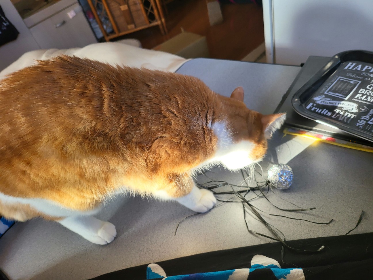 f:id:JuneNNN:20220216131305j:plain