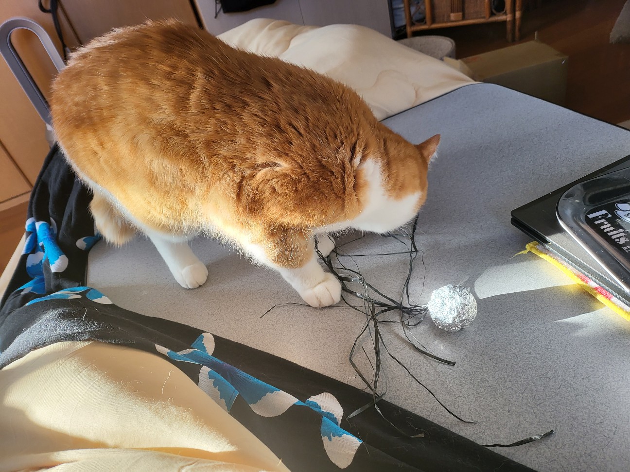 f:id:JuneNNN:20220216131321j:plain