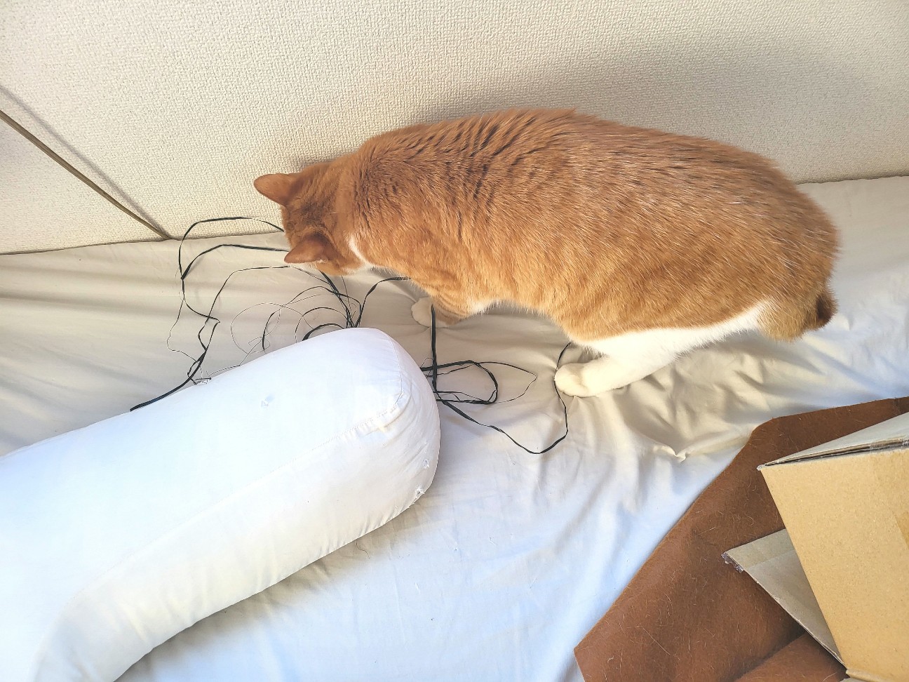 f:id:JuneNNN:20220216131343j:plain