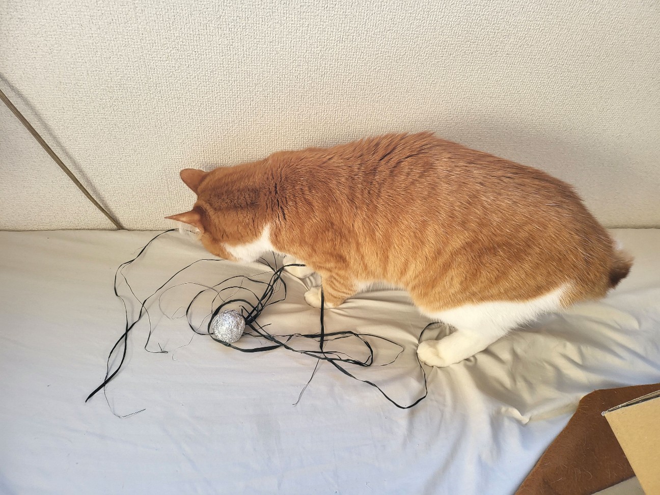 f:id:JuneNNN:20220216131350j:plain