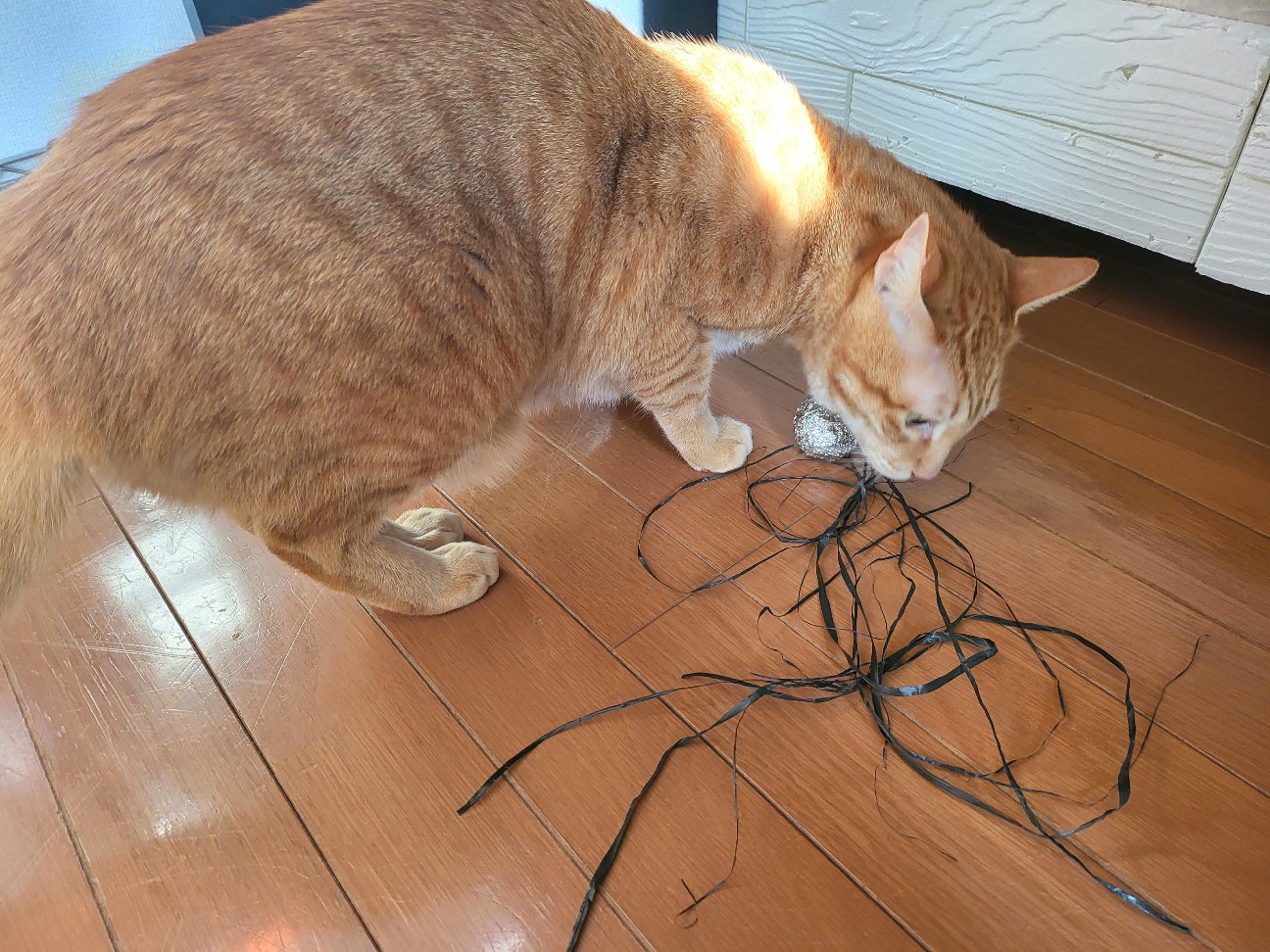 f:id:JuneNNN:20220216131400j:plain