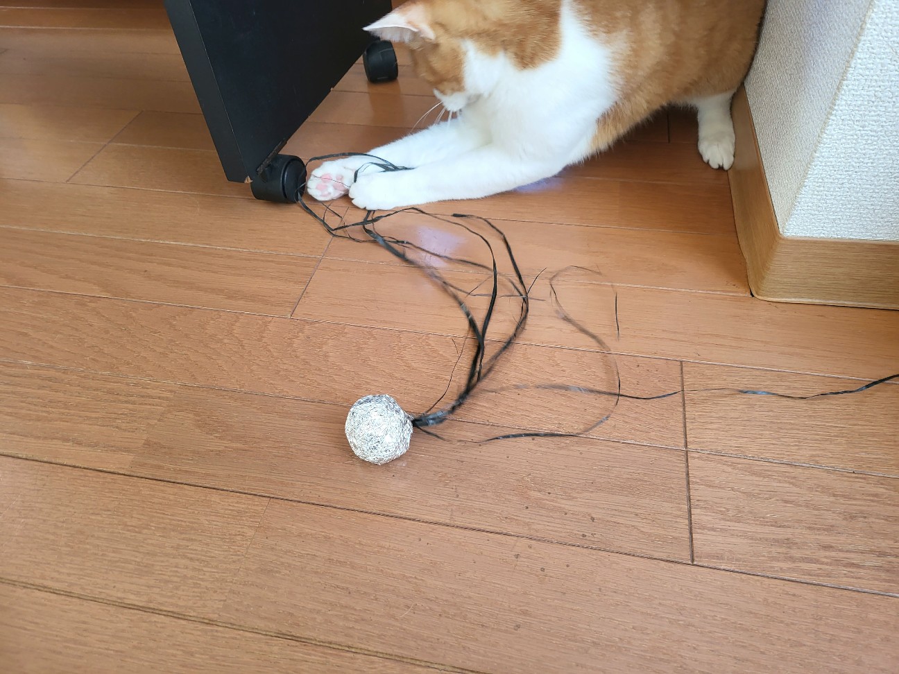 f:id:JuneNNN:20220216131421j:plain