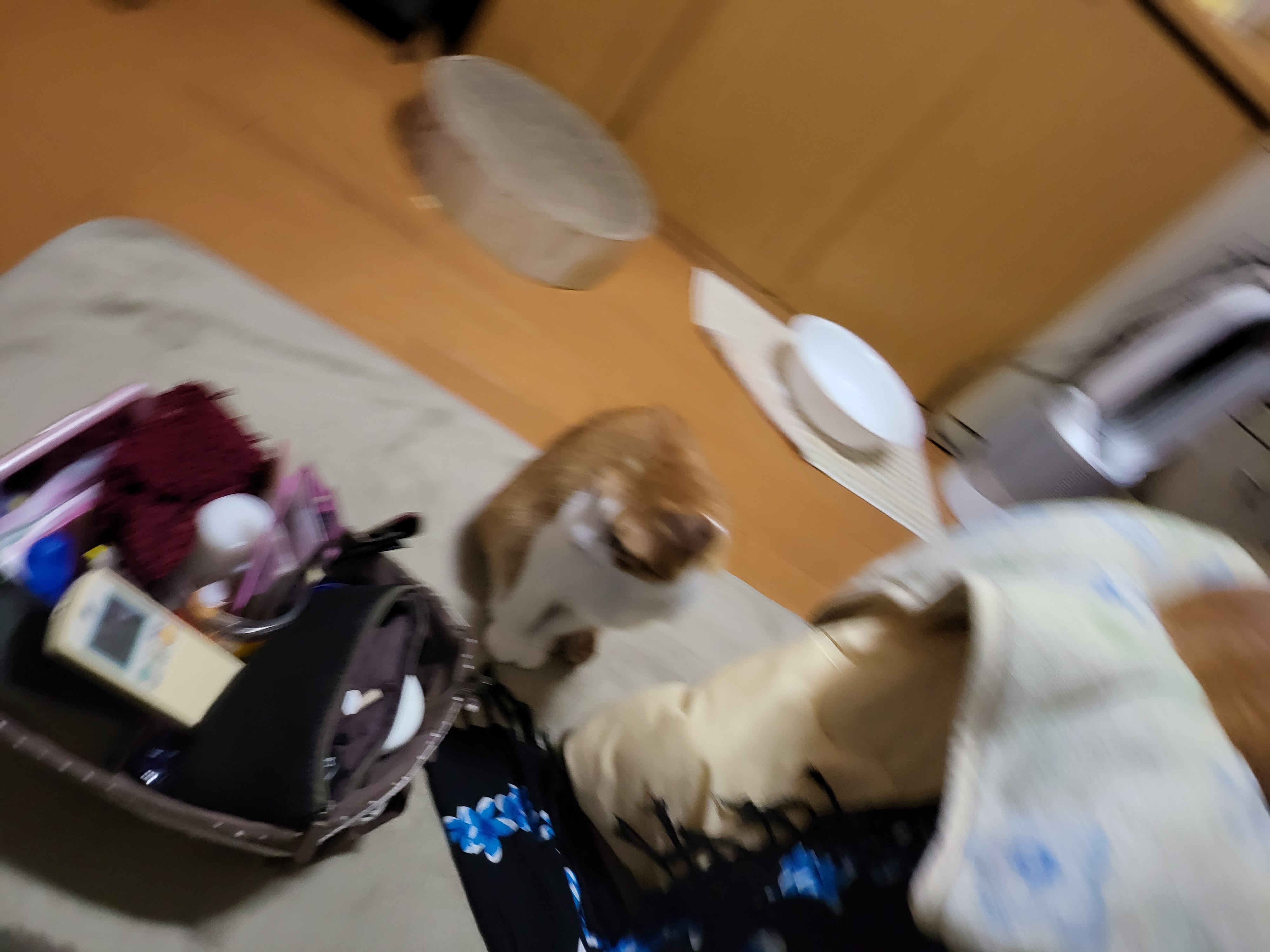 f:id:JuneNNN:20220221093930j:plain