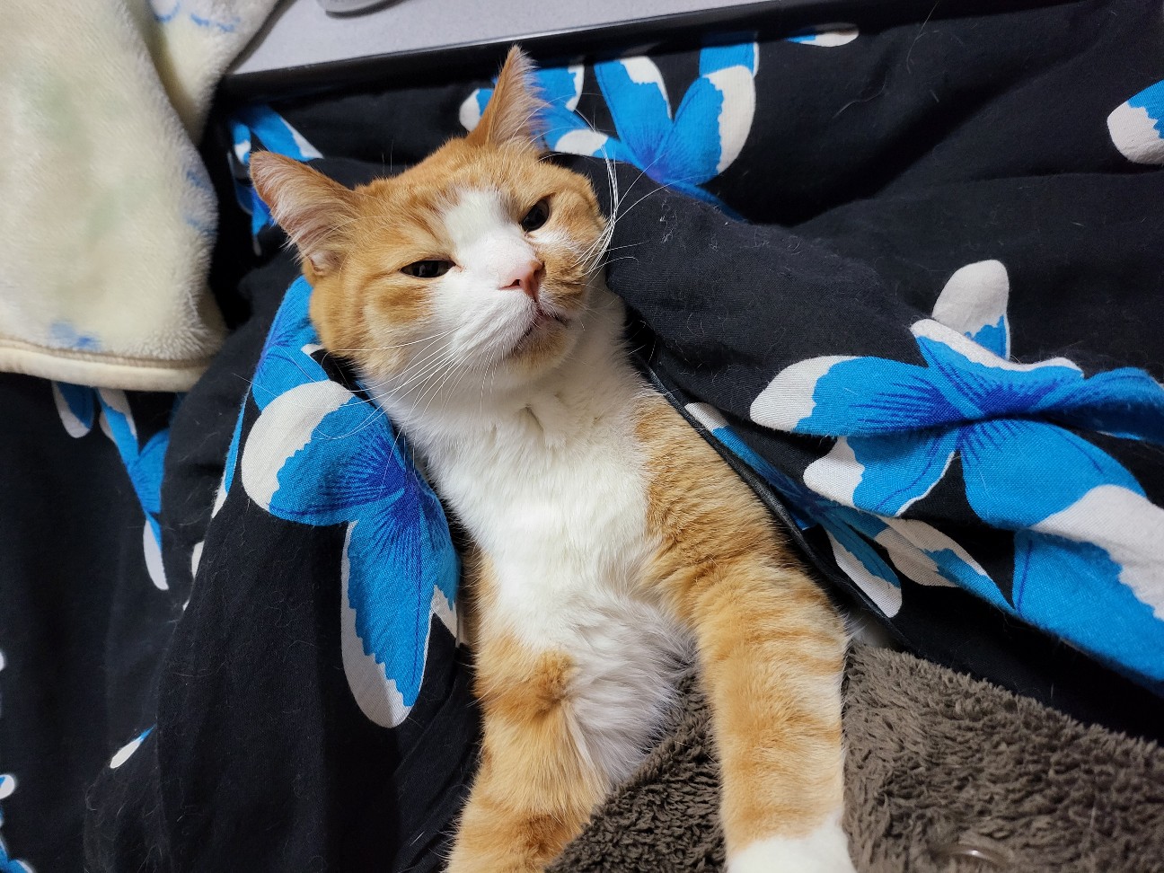 f:id:JuneNNN:20220322123156j:plain