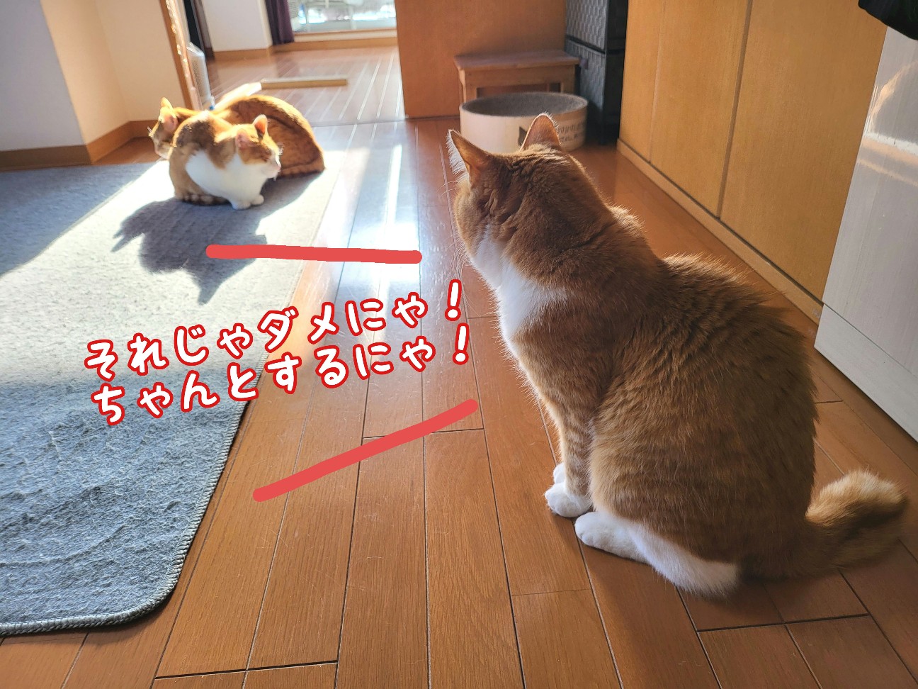 f:id:JuneNNN:20220410103635j:plain