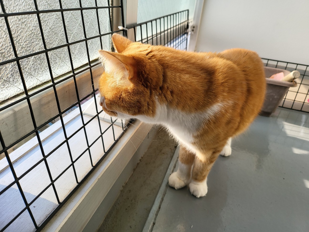 f:id:JuneNNN:20220410103811j:plain