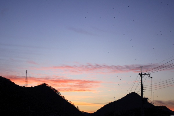 f:id:JunichiIto:20100917181934j:image f:id:JunichiIto:20100917181934j:image