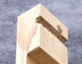 f:id:JunichiIto:20120612145302j:image:w200